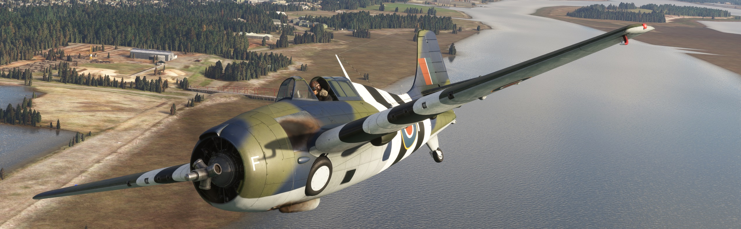 RN-Wildcat.jpg[